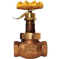 Globe Valves