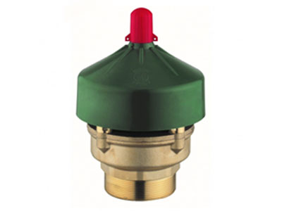 Depression Valve - 0810 DN80