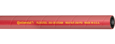 Steam