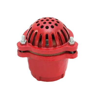 Foot Valves with Strainer