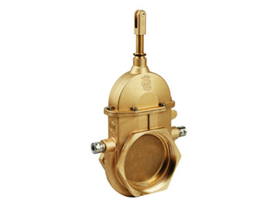 Heatable Stem Gate Valve