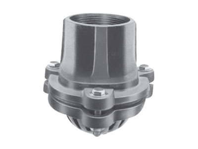 Pump Foot Valves