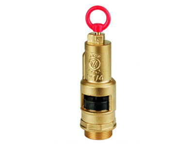Safety Valve
