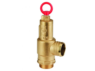 Safety Valve with Hose Connection