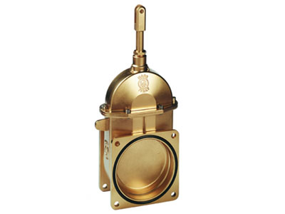 Stem Gate Valve with 2 Flanges