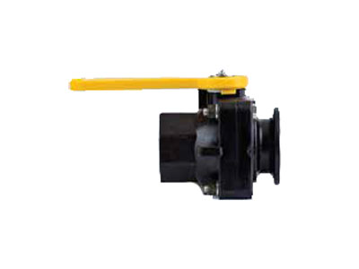 Flange x Female NPT